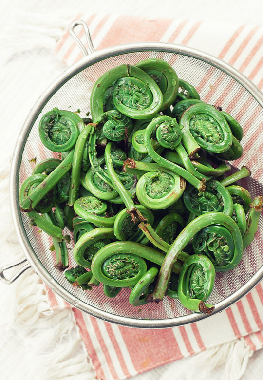 Feisty Fiddleheads