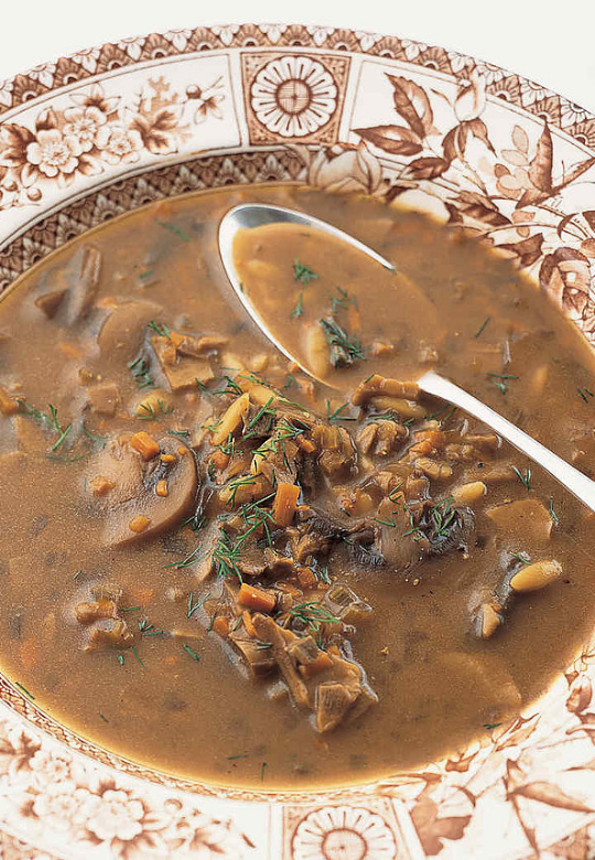 Borscht with Porcini Mushrooms and White Kidney Beans