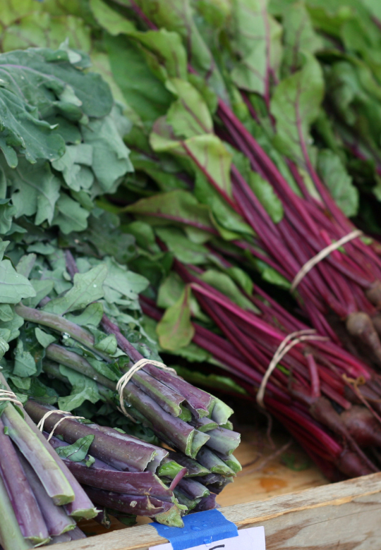 Kale and Beet Salad