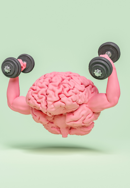 Brain Optimization Through Hormonal Change