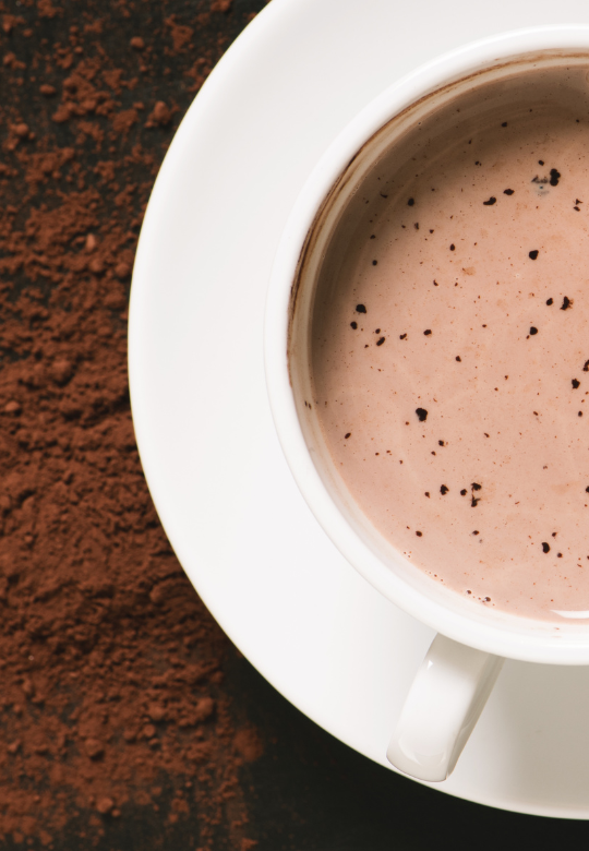 Cacao Evening Reishi Tonic