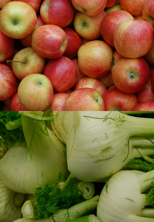 Apple and Fennel Fall Salad