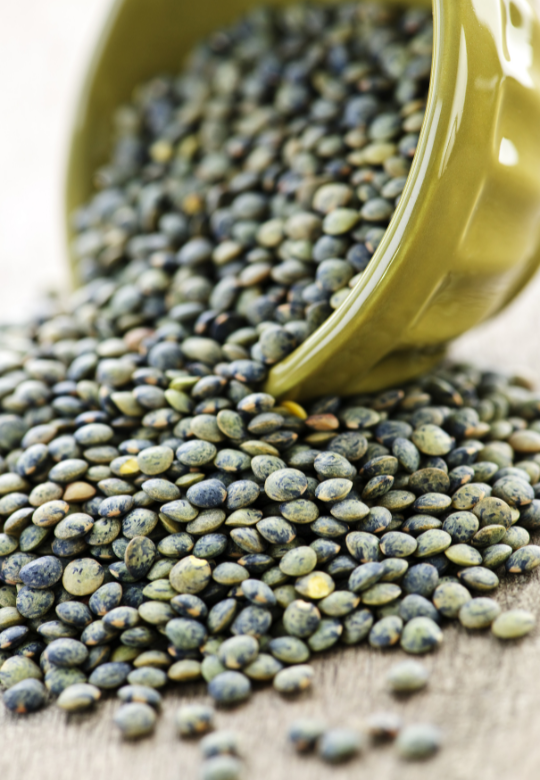 Warm French Lentil Salad with Apple