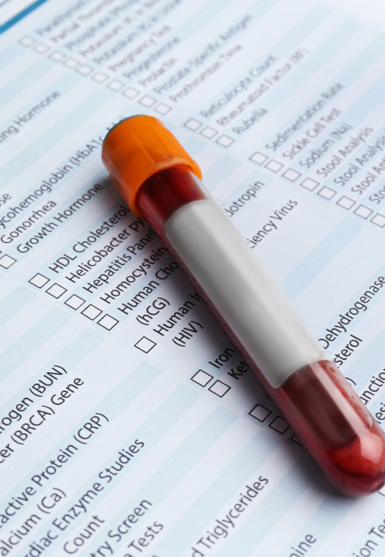 Importance of Regular Bloodwork