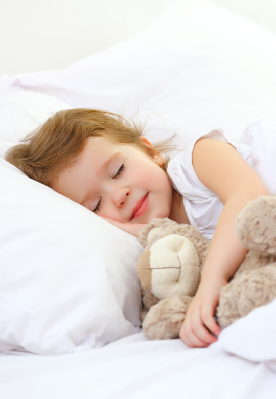 Early Fall School Year Immune Support