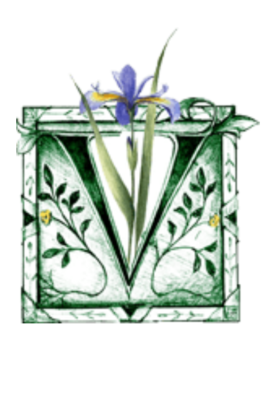 Viriditas Herbal Products Fem Tonic 500 ml